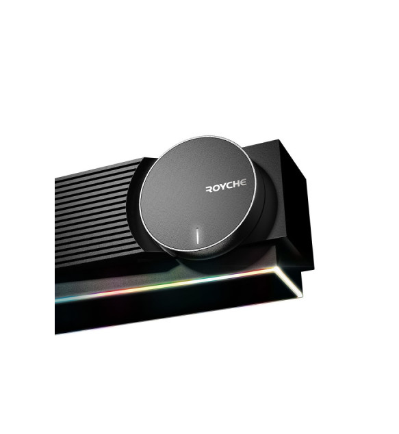 Royche RSB-200 Premium RGB LED Soundbar