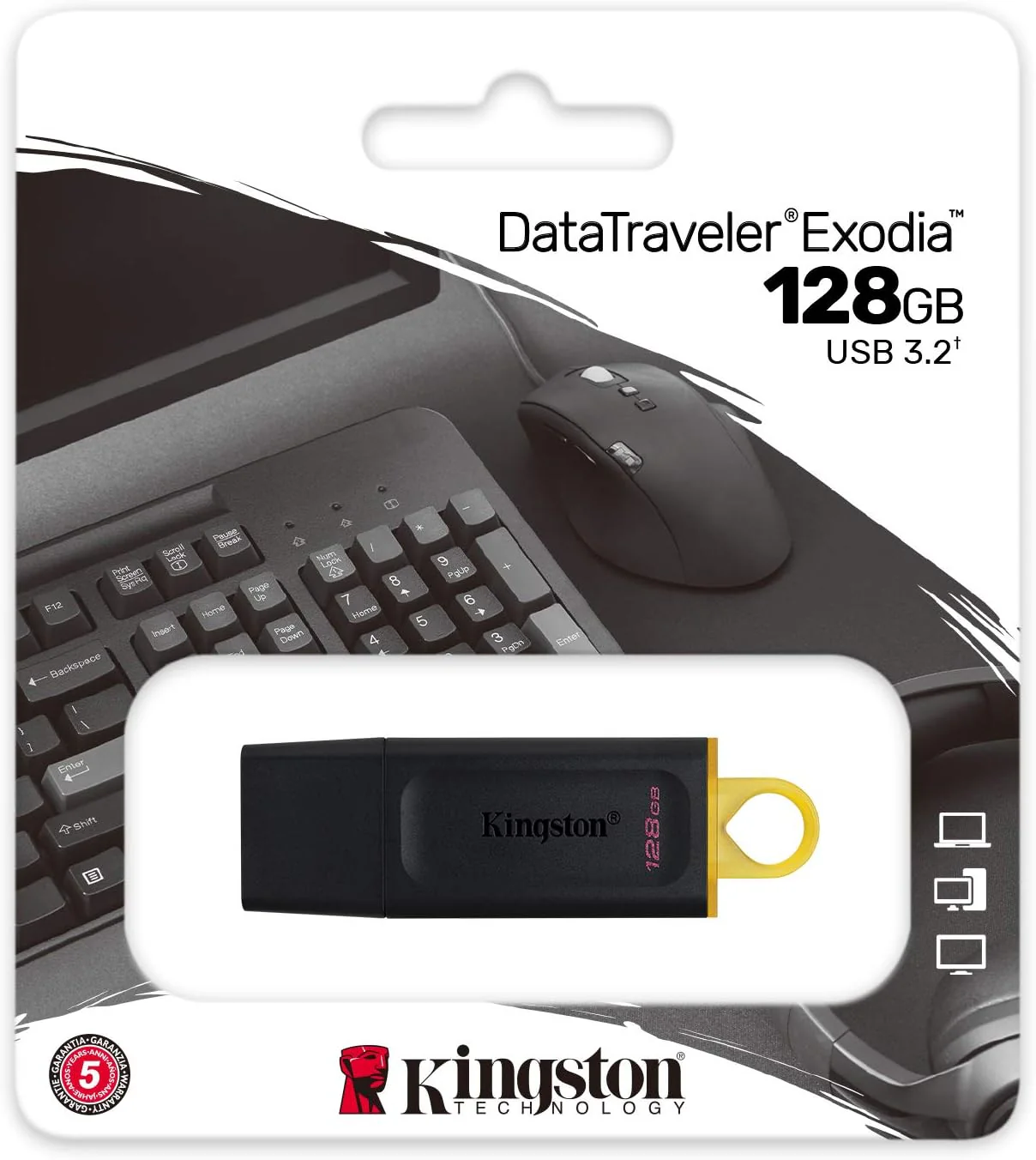 Kingston - DTX 128GB - USB 3.2 - DataTraveler Exodia USB Flash Drive