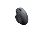 HP Professor SE Wireless Dual Mode Mouse 2.4GHz + Bluetooth Black HP wireless dual mode mouse