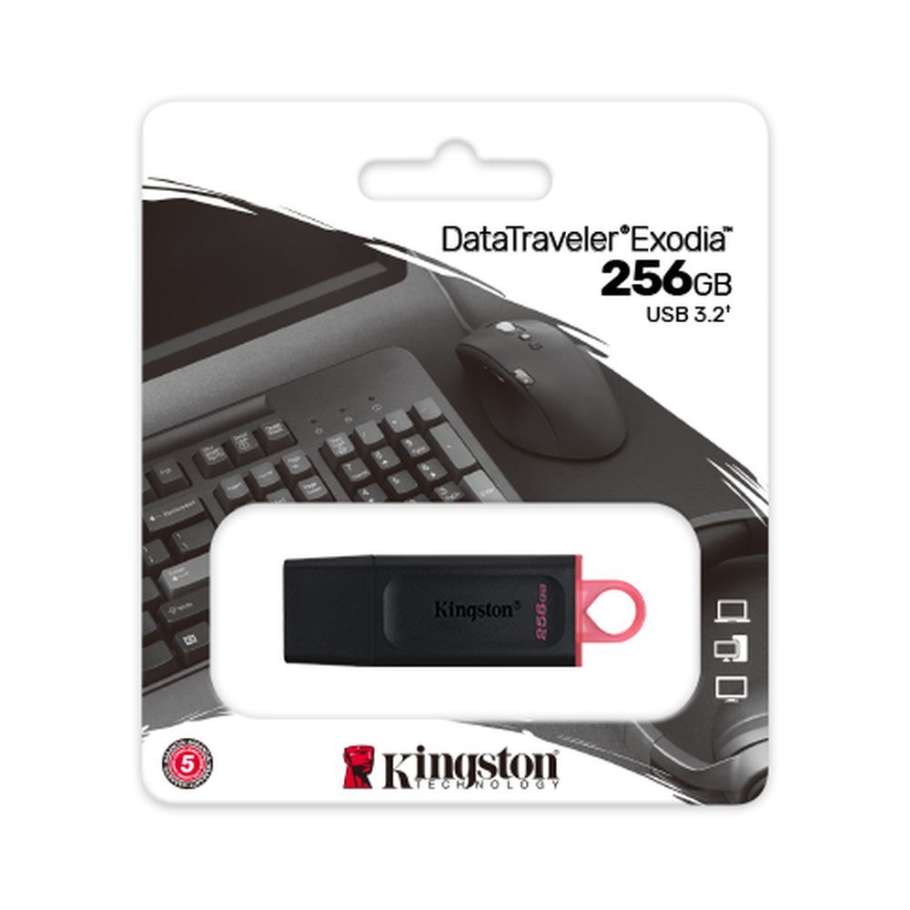 Kingston 256GB USB Flash Drive